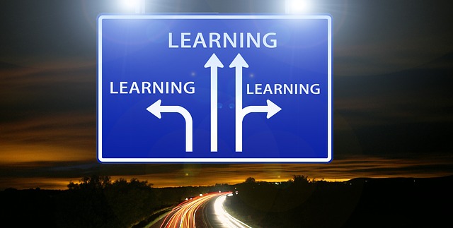 Why Did I Decide To Come Back and Do My Master's?